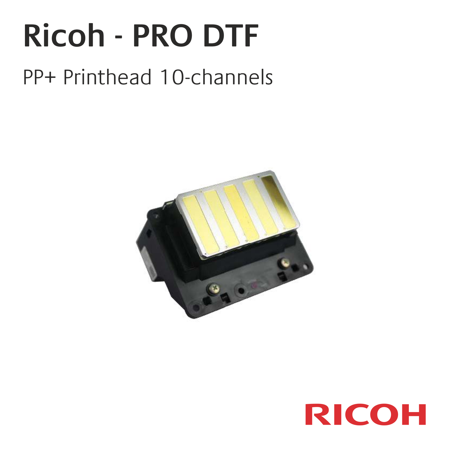 Ricoh PRO DTF - Usura e ricambi